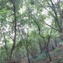 금평농장 이미지