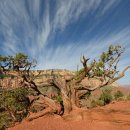 ﻿Grand Canyon National Park, USA 이미지