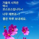 지마