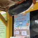 지구촌 | 올해 마지막 여름휴가 고양 지구촌수영장 후기