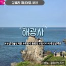 부산 가볼만한곳 기장 바다사찰 용왕단 오시리아 해안산책로 '해광사'
