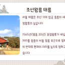 소나무전시관 화장실 이미지