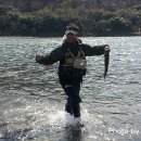 섬진강낚시 이미지