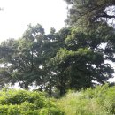 신창카센타 이미지