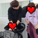 염색방입니다 이미지