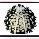 강변로5(동) 이미지