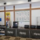 도그마트 | [경기_안성] 안성 원더풀도그베이 솔직 후기｜노견 수영 연습하러 다녀왔어요! (장점, 단점, 가격)