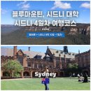 시드니 4일차 | 아침엔 블루마운틴, 밤엔 스테이크 먹방! 하루에 6코스 몰아친 시드니 여행 코스