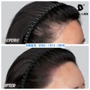 디노원