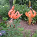 능안공원 이미지