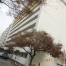 유성대로(유성-29) 이미지