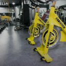 두드림휘트니스 이미지