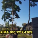 남도건설 주식회사 이미지