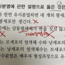 유사분열과 감수분열 이미지