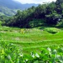 신원면 과정리 이미지