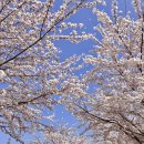 동해체육공원 이미지