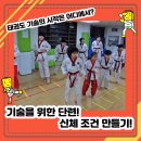 경희대강한태권도장 이미지