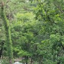 소베라노독채풀빌라 이미지