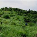 낙동농장 이미지