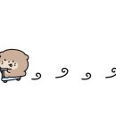 미니돌 강남 이미지