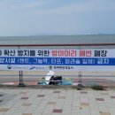 해변으로 이미지