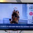 박종현동물병원 이미지