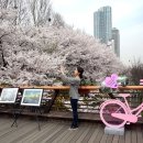 농축산물직거래센타 이미지