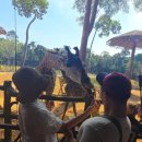 기린식당 | 푸꾸옥 북부 여행] 빈펄사파리 기린식당 솔직 후기