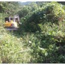 사내농장 이미지