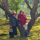 금밭농장 이미지