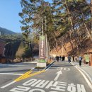 다솔사길 Daum카페