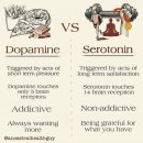 Dopamine이냐, Serotonin이냐 이미지