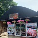 꽃피는산골1 이미지