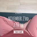 대윤식품 | 임신일기_31주, 체중 급증, 임산부 브라질리언 왁싱, 남편 백일해 주사, 임산부 요가 지도자 과정