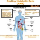디아더짐 이미지