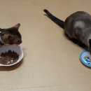 문경가축병원 이미지