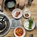 한방옻닭 | [망원 맛집] 망원동 한방 보양식 맛집 ‘꼬꼬댁 옻닭’ 솔직 후기(위치,메뉴,닭두루치기)