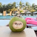 노바루스관광호텔 | 노바월드골프장 그렉노먼이 설계한 오션뷰 코스 직접 쳐보니까 소문이 맞더라고요