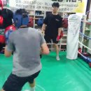 포항권투체육관 이미지