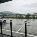 김복희대구왕뽈찜 이미지