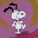 (주)케이오지 이미지