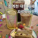 브라질카페 꼬르꼬바두 | 종로 청계천 카페 추천, 부모님과 다녀온 꼬르꼬바두 브라질 감성 카페 후기