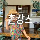개구리민박 이미지