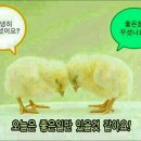 너른