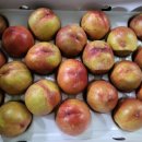 서광자연 이미지