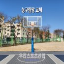 림스포츠