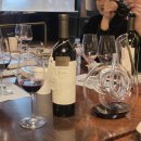 지에스25 에스대림역점 | 아르헨티나 No.1 트리벤토, 멘도자의 바람이 빚은 우아한 말벡의 정수 - 설 명절 와인 선물