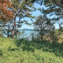 애향동산 이미지