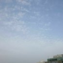 (주)제주왕 이미지