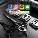 상아 동물메디컬 이미지
